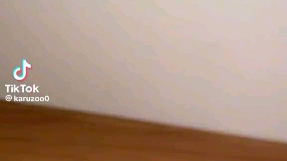 ayo????