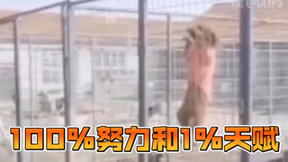 ความพยายาม 100% และพรสวรรค์ 1%