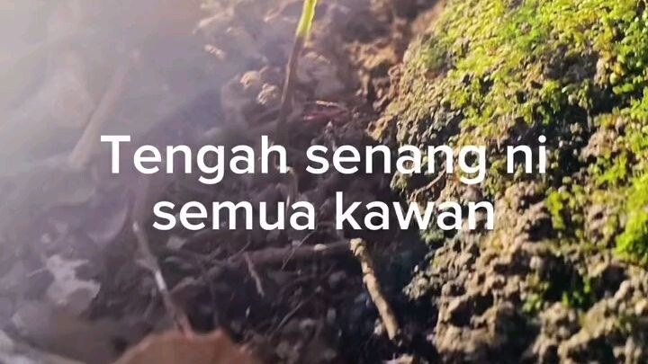 betul bila sihat semua kawan😔