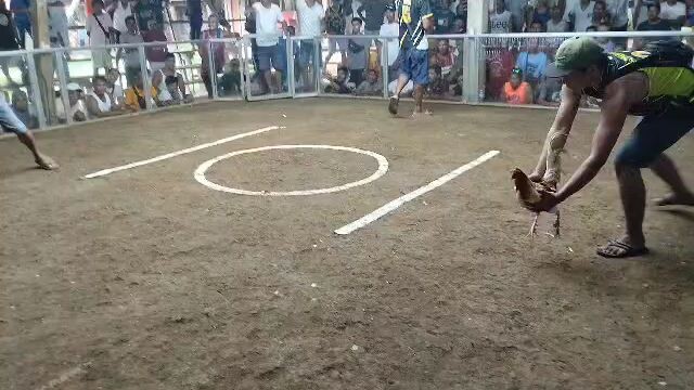 June 13, 2025 2hits ulotan kelso x claret Loss