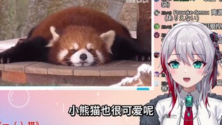 Japanese natural lady watches "One()Cat"