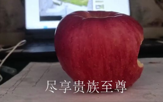 《吉林动画学院招生减章之陋室铭》
