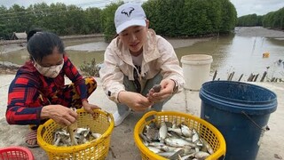 Về Chợ Cả Nẩy & Thích thú màn Thuốc Cá ở xã Tam Giang Tây| ÁNH KUA