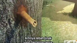 Upin & Ipin Musim 18 - Gambar Barongsai - Upin Ipin Terbaru 2025