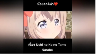 น้องลาติน่า