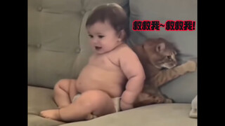 القطة 🐱 تُشتبه في أنها ترسل لك إشارة استغاثة 🆘