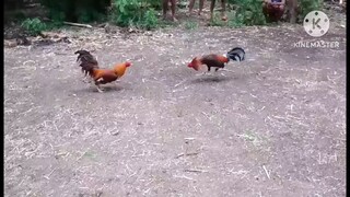 👍👍👍😱😱😱