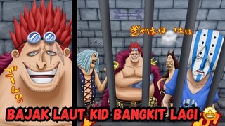 Kid Bangkit Setelah Kekalahanya Melawan Shanks !!!