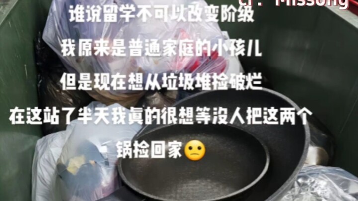 你们留子捡垃圾都捡这么好吗