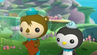 Say it with me: Humuhumukunukuapua!