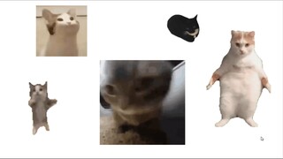 【10 دقائق استمتاع خالص】آه يا هاكيمي العزيز