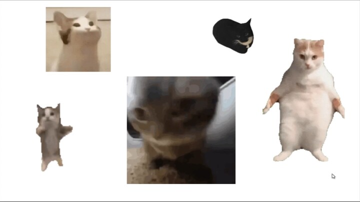 [10-Minute Exclusive] Oh My Hakimi