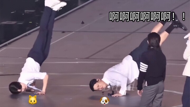 تم ضبطي لأنني لم أؤدِّ حركات الرقص، فتم استثنائي لأتكرر المشهد من جديد! 🐱🐶 هههههه، من ما زال ينتظر “