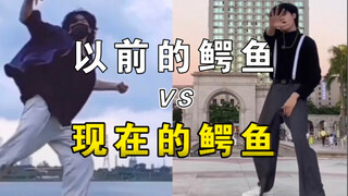 以前的鳄鱼VS现在的鳄鱼