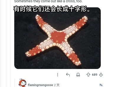Reddit: ปลาดาวที่เกิดมาเป็นรูปสี่เหลี่ยมเนื่องจากความผิดปกติแต่กำเนิด