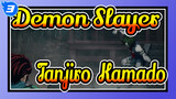 Demon Slayer|【EP 2】Fighting Scenes of Tanjiro &Kamado_3