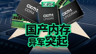 我们能用上便宜的国产内存，到底有多不容易？【差评君】
