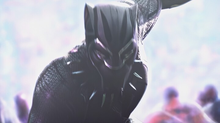 “Black Panther: Aku tidak akan mengatakannya untuk kedua kalinya!”