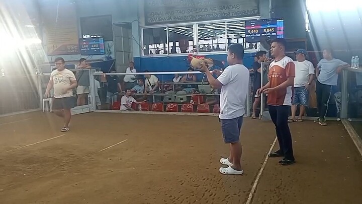 Kanawayon Hatch Win, unscratched, Dampalit Cockpit Arena