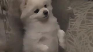 The second before, meek and submissive; the next second?