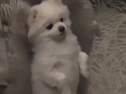 上一秒唯唯诺诺，下一秒？