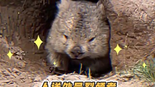 Who could possibly resist such an adorable little cutie playing with building blocks!