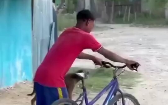 อินเดีย อาซาน ขโมยจักรยาน