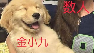 [Kim Jongwoo] [NCT127] Several people raise dogs.