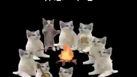 The new one! The kitties have invited you to roast marshmallows!