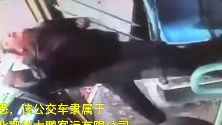 Drunk man verbally abuses and harasses a bus driver, then gets kicked flying!
