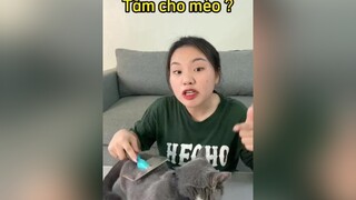 Tip tắm cho mèo không bị thương cat mèo mẹohay LearnOnTikTok thaomeo