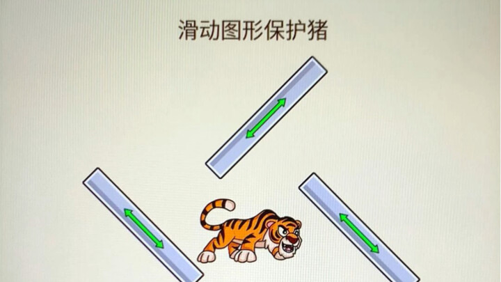 Slide the Graphic to Protect the Pig