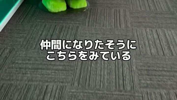 menguntit kakak 🥰