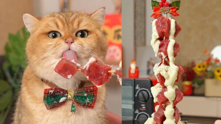 ทาร์ตเนื้อครีมของเจ้าเหมียว กินคำเดียวอร่อยจนน้ำตาไหล!