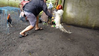 HULING PILI PARA SA PAPARATING NA LABAN