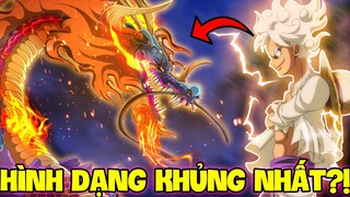 KAIDO HỎA LONG, LUFFY NIKA?! | 9 TRẠNG THÁI BIẾN HÓA BÁ ĐẠO NHẤT ONE PIECE