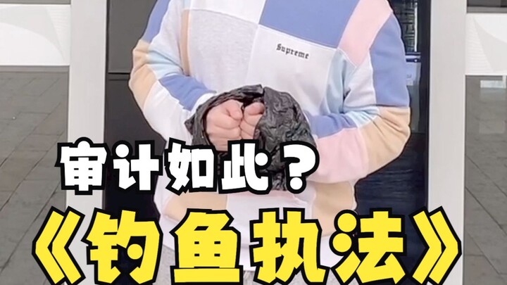 审计做得好，会计没得跑