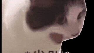 หลินเจ๋อสวี คุณเข้าผิดเซิร์ฟเวอร์แล้ว!