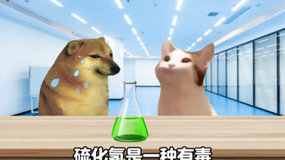 说说你是怎么来的！