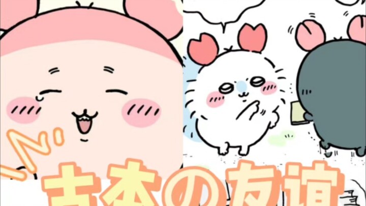 “因为你的出现，我的世界从此不再黑暗”