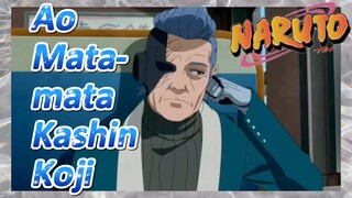 Ao Mata-mata Kashin Koji
