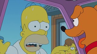 The "dog abuse" incident triggered online violence! The victim set up a suicide squad to retaliate a