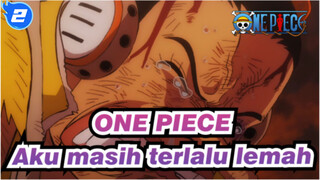 ONE PIECE|Maaf, aku masih terlalu lemah_2