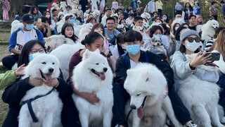 欢迎来到长沙耶总会