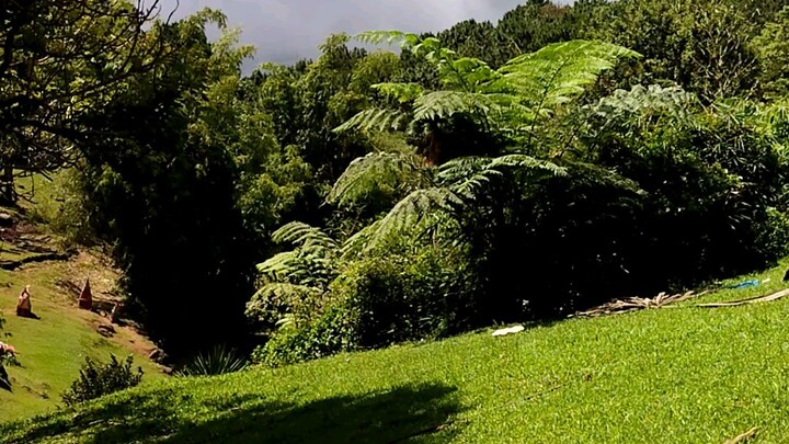 Kapatagan escapade year end 2021