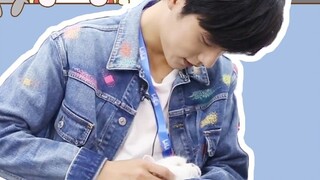 [Xiao Zhan] Xiao Zhan's daily interactions with small animals (super gentle brother Xiaozan)