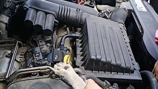 A cat got into the car