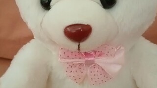 รีวิว ตุ๊กตาหมีสีขาวที่ตลาดไนท์ชื่อน้องแบรี่ Beary