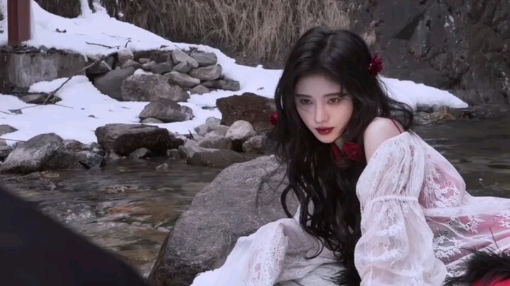 Hoa hồng đỏ kiểu Cúc ư?!