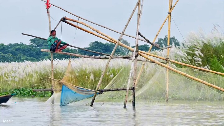🌿 লাইন......!  💔